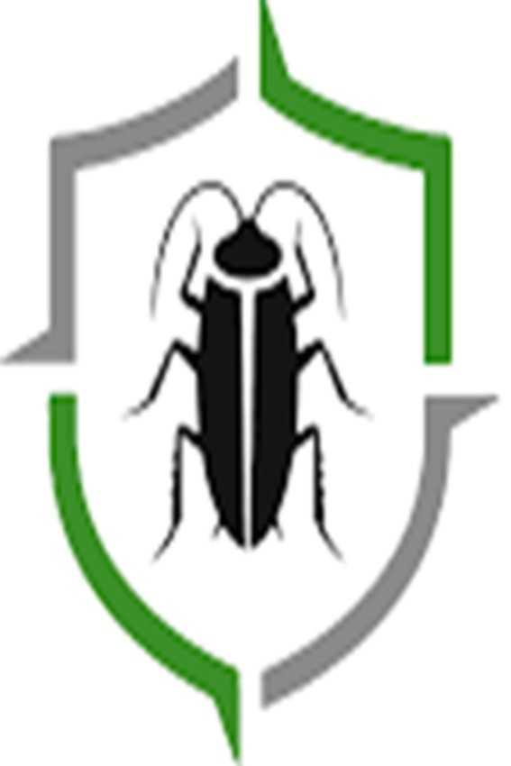 Pest Control Adelaide Expert | Same Day Pest Control Services Adelaide