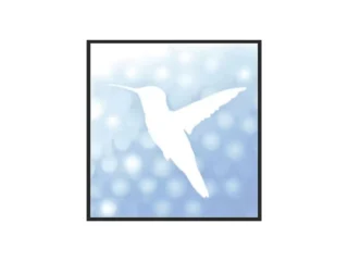 heal_webp
