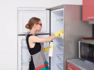 home-appliance-cleaning