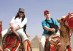 Wine Tasting on Cape Town Safari Tours You Should Not Miss