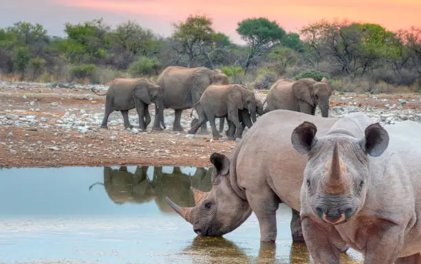 Best Cultural Experiences to Seek on Your South Africa Safari