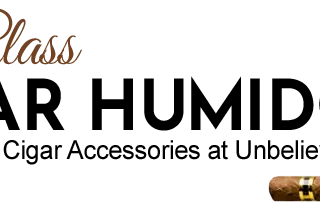 logo2