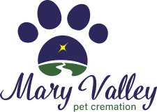 mary-webp