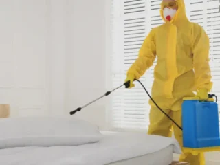 pest-control-service