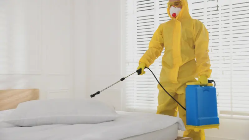 Pest Control Barrie – Same Day Service Available