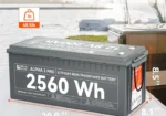 Rich Solar ALPHA 2 PRO 12V 200Ah LiFePO4 Lithium Iron Phosphate Battery