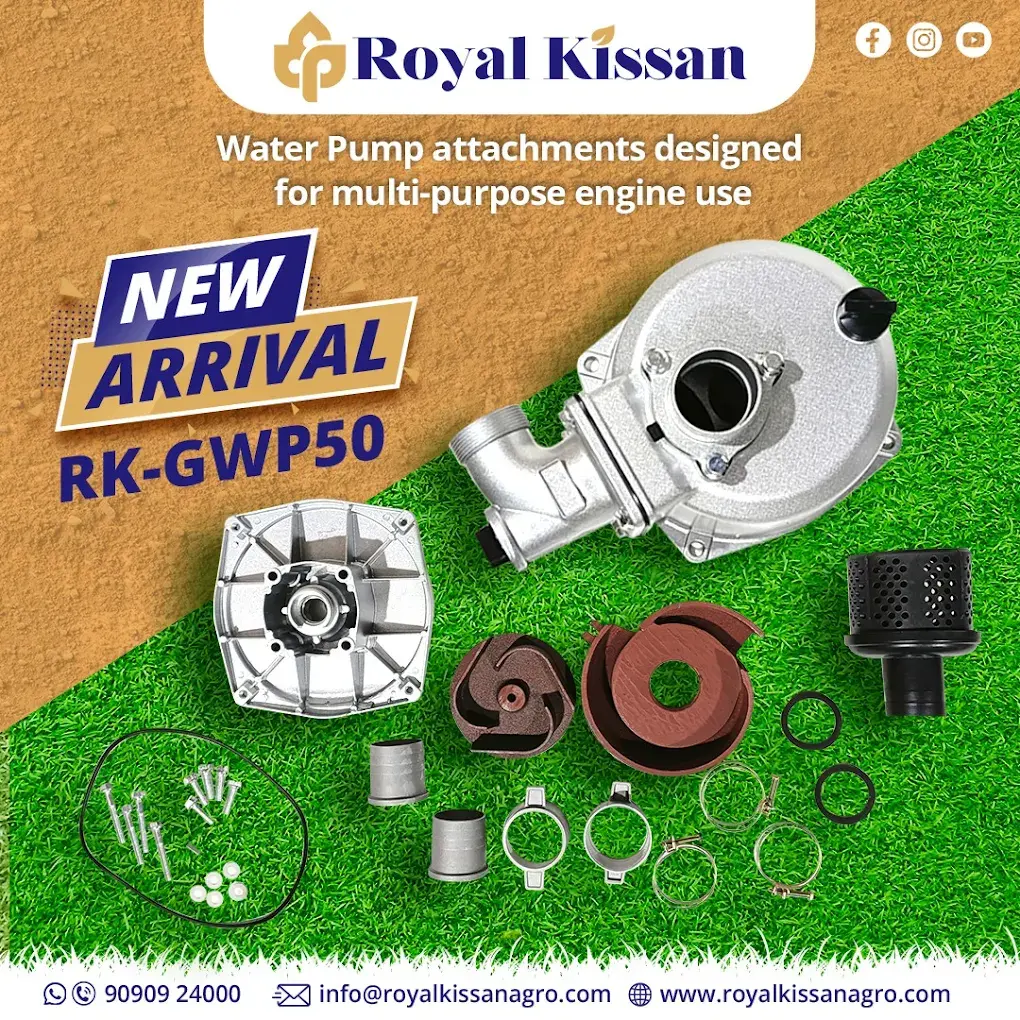 Royalkissan