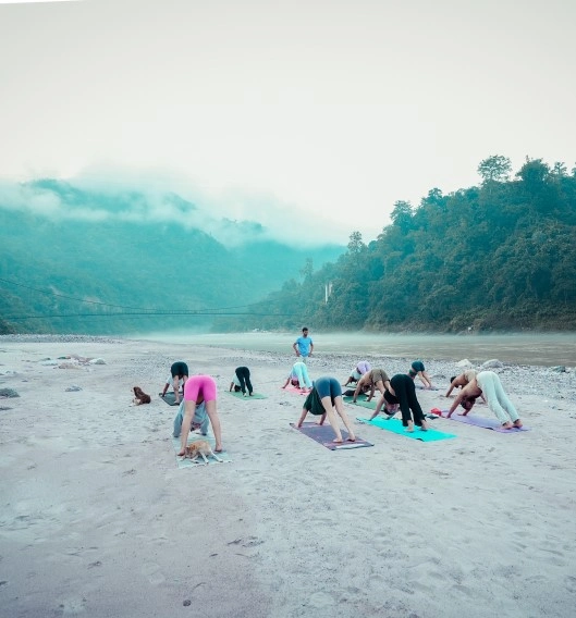Yoga Retreat Rishikesh in India: A Transformative Journey for Mind, Body, and Soul