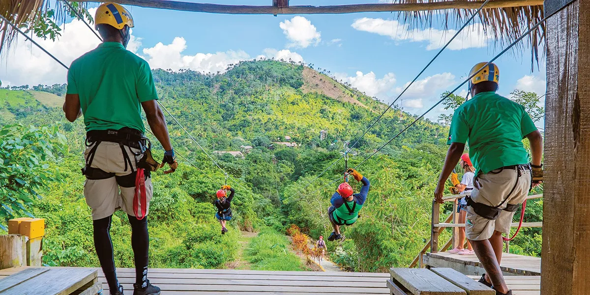 Best 5 Forest Experiences On Tanzania Safari Tours