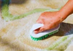 Ever Steam Carpet Cleaning LLC