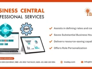 BC-Professional-Services