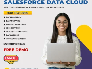 Best-Salesforce-Data-Cloud-Online-Training-Online-Course