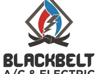 Blackbelt_Company