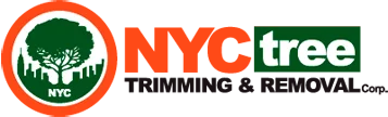 NYC Tree Trimming & Removal