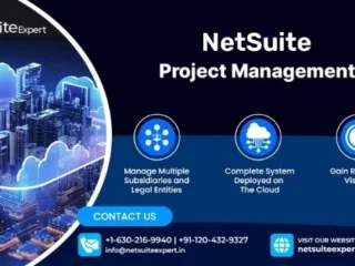 NetSuite-Project-Management