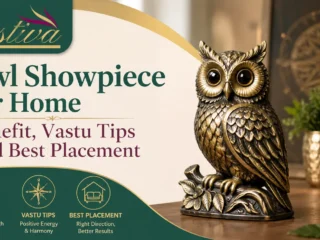 Owl-Showpiece-for-Home-Benefits-Vastu-Tips-Best-Placement