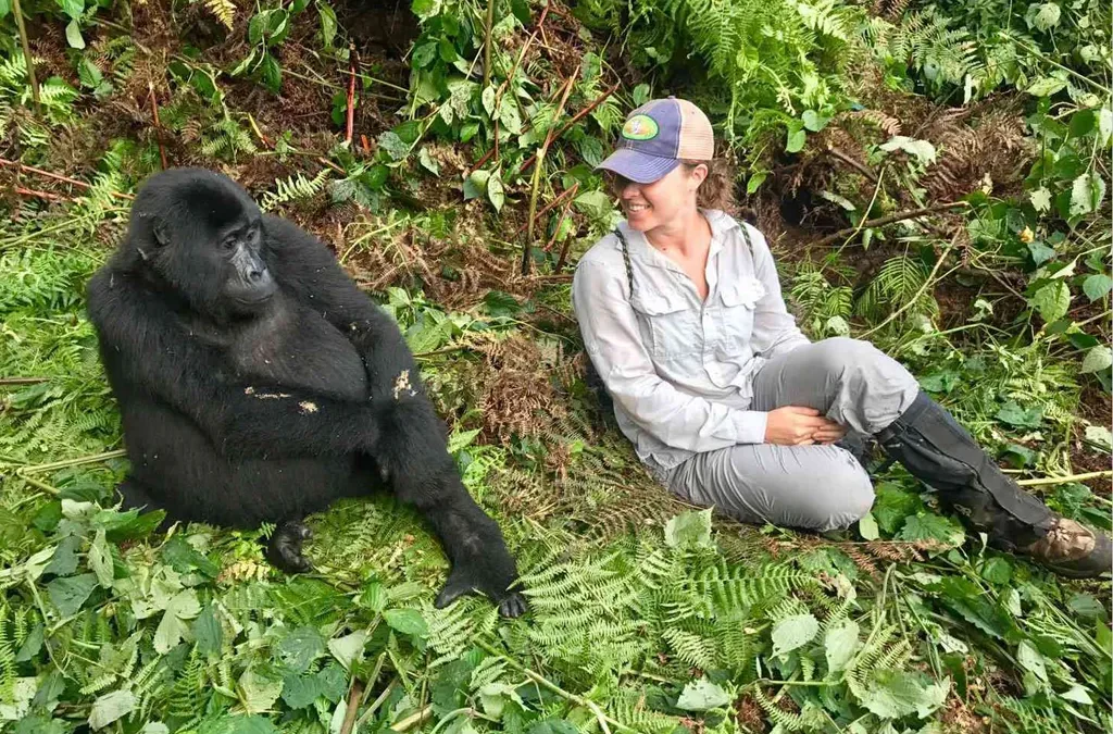 What to See on Gorilla Trekking Safari in Uganda Vs Rwanda