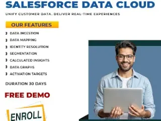 Salesforce-Data-Cloud-Classes-Live-Online-Training