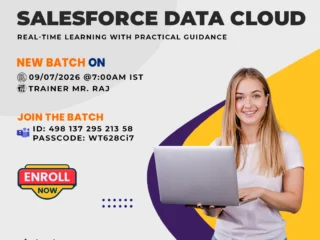 Salesforce-Data-Cloud-Online-Training-–-Join-the-New-Batch