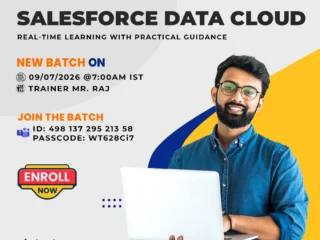 Salesforce-Data-Cloud-Online-Training-–-New-Batch-Starts