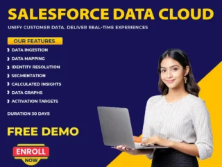 Salesforce-Data-Cloud-Training-Ameerpet-Online-Course-1