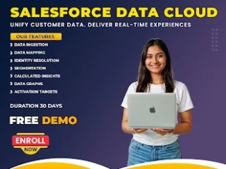 Salesforce-Data-Cloud-Training-Salesforce-Data-Cloud-Course