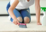 Ever Steam Carpet Cleaning LLC