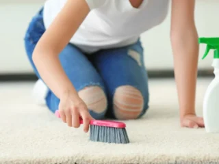 Tools-for-deep-cleaning-carpet