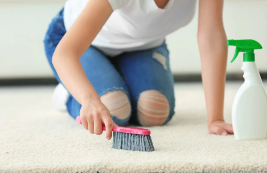 Ever Steam Carpet Cleaning LLC
