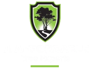 a-affordable-logo-new