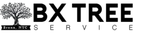 bxtreeesservices-logo-1-300×69-1