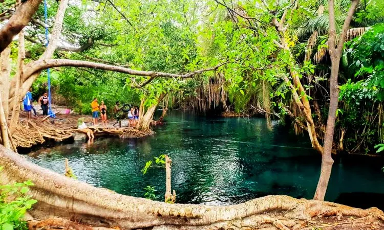 Best Five Hot Springs To Visit On Tanzania Safaris