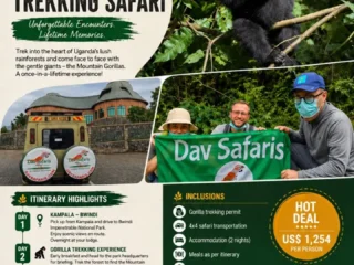 gORIILA_sAFARIS1