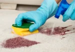 Ever Steam Carpet Cleaning LLC