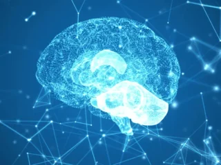 imgi_24_brainwave-1