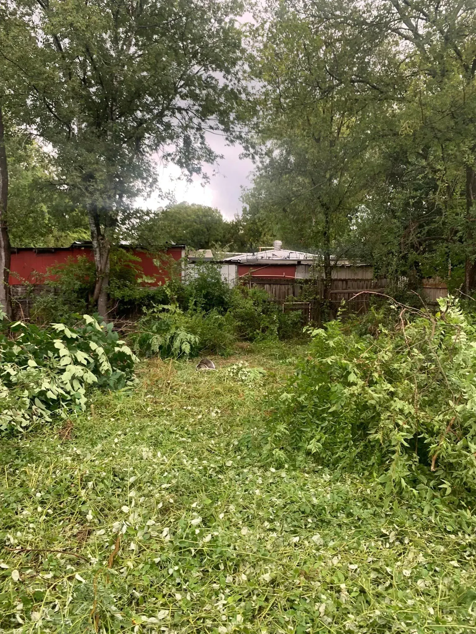 Benson and Son LLC | Professional Lawn Restoration Service