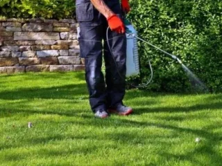 lawn-care-service-saginaw-mi