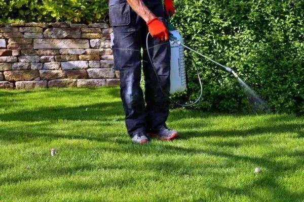 Get Thick, Healthy Grass with Saginaw Lawn Services
