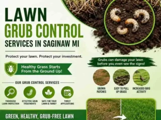 lawn-grub-control-services-in-saginaw-mi