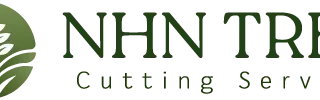 nhn-tree-cutting-hyderabad