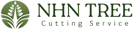 Termite Pest Control Services in Hyderabad – NHN Trees Cutting Hyderabad