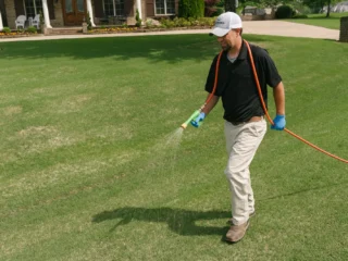 professional-weed-control-services-in-Saginaw-MI