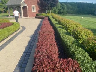 resort-landscaping