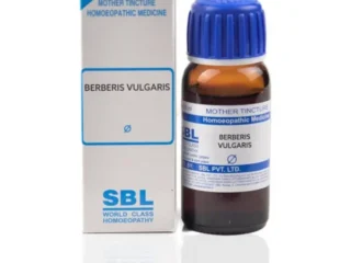 sbl_berberis_vulgaris_q_mother_tincture_30_ml-1-600×600-1