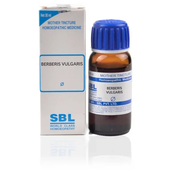 Berberis Vulgaris Uses In Hindi And Its Health Benefits Guide