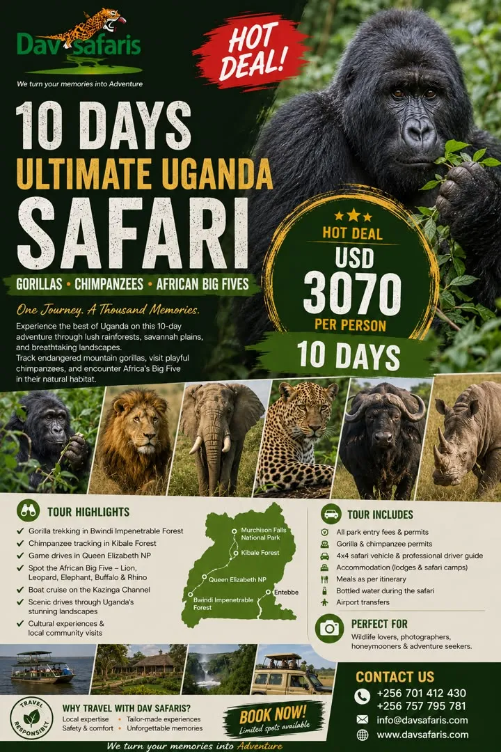 HOT DEAL 10 DAYS GORILLA TREKKING SAFARI