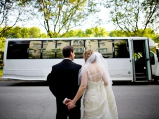 usbargainlimo