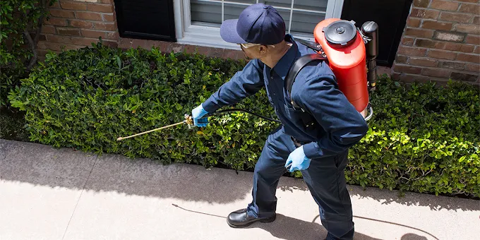 Pinnacle Pest Control