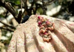 Karina Fashion Designing Institute | Best Tailoring & Fashion Design Training