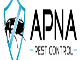 480×480-webp-1